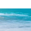 🌊