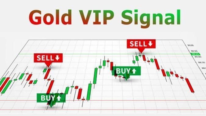 Elite Forex Academy
