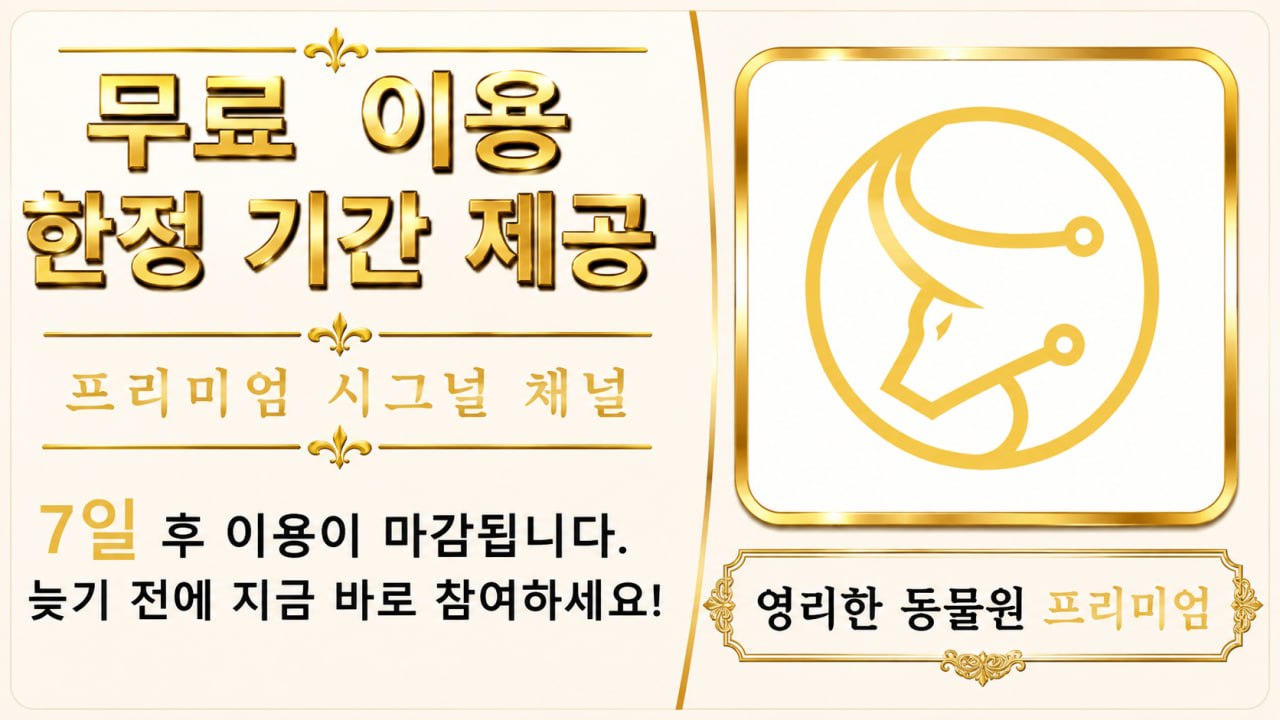 가장 무난하고 전문적
