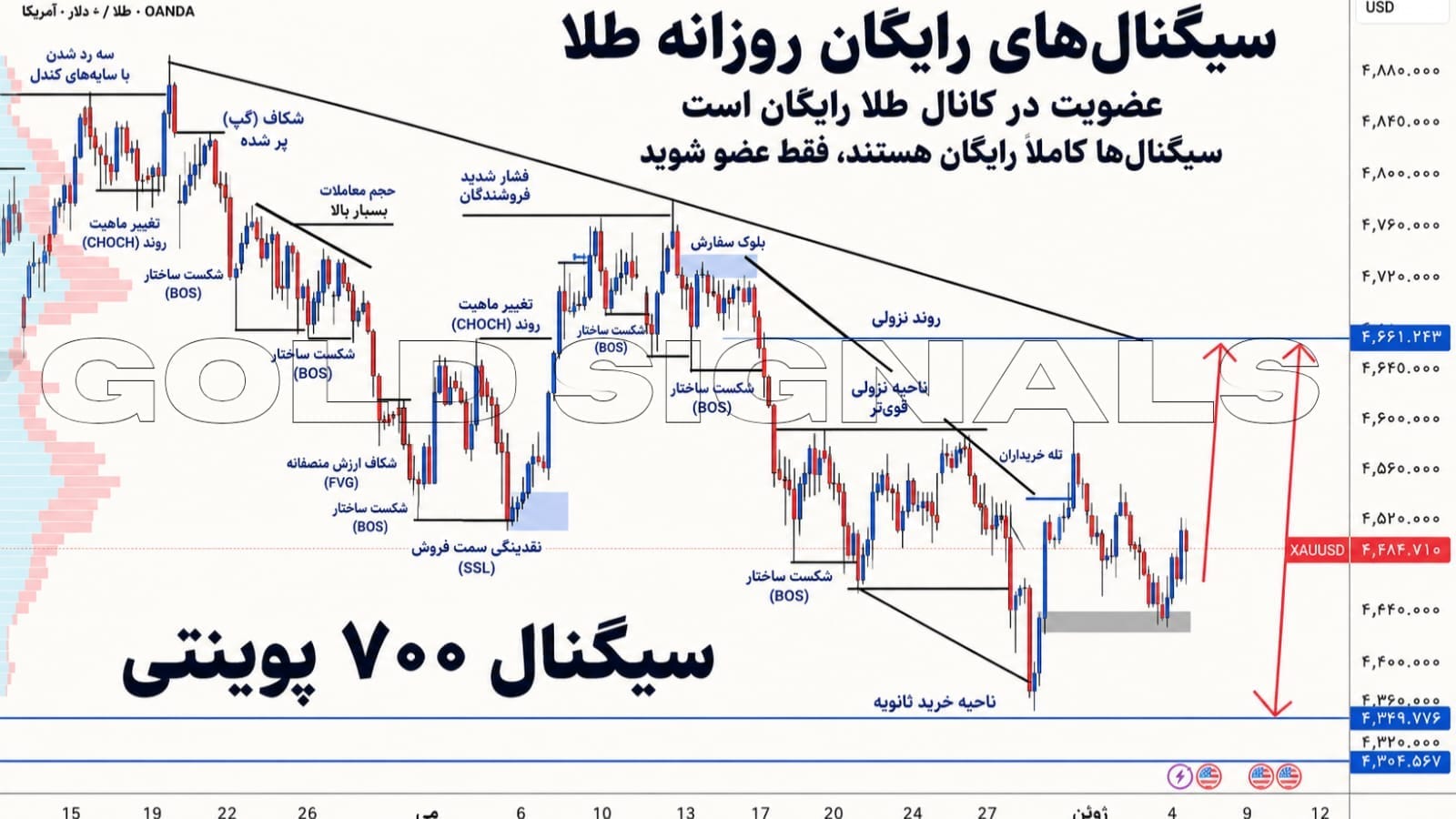 BLUE PIPS DAILY