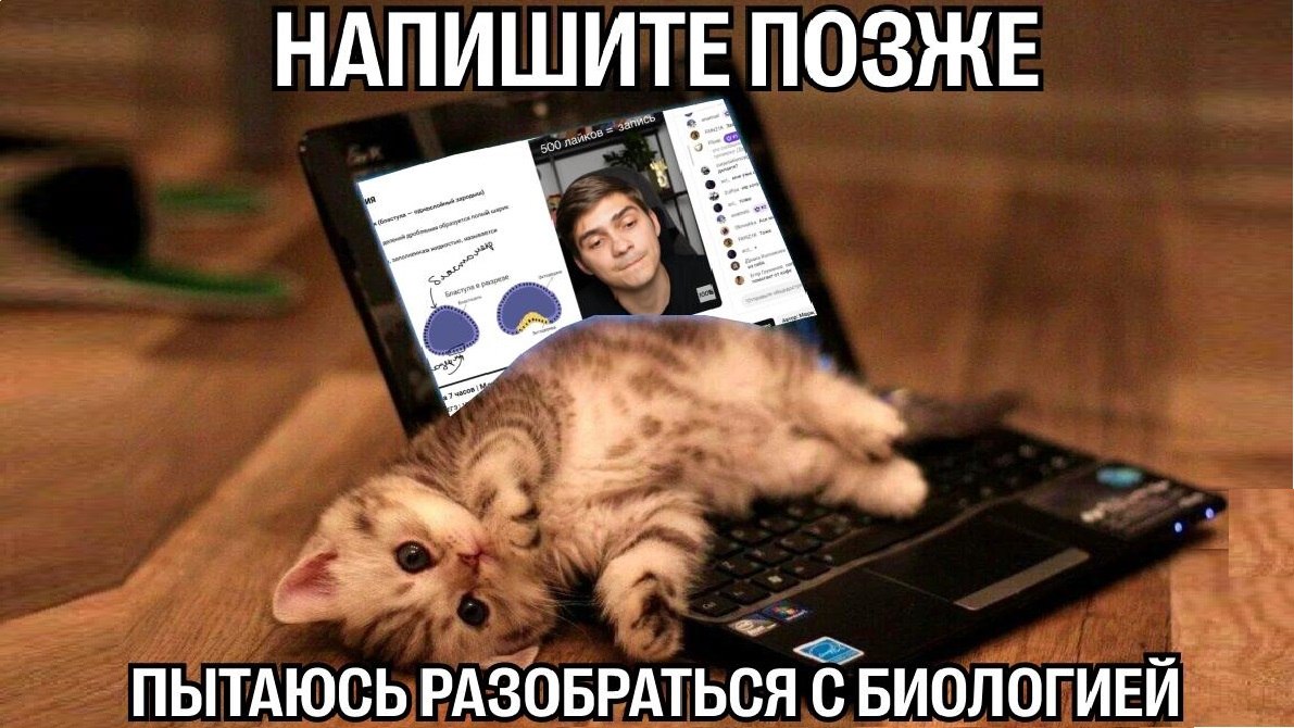 Марина Медведева | Биология ЕГЭ | 100балльный репетитор