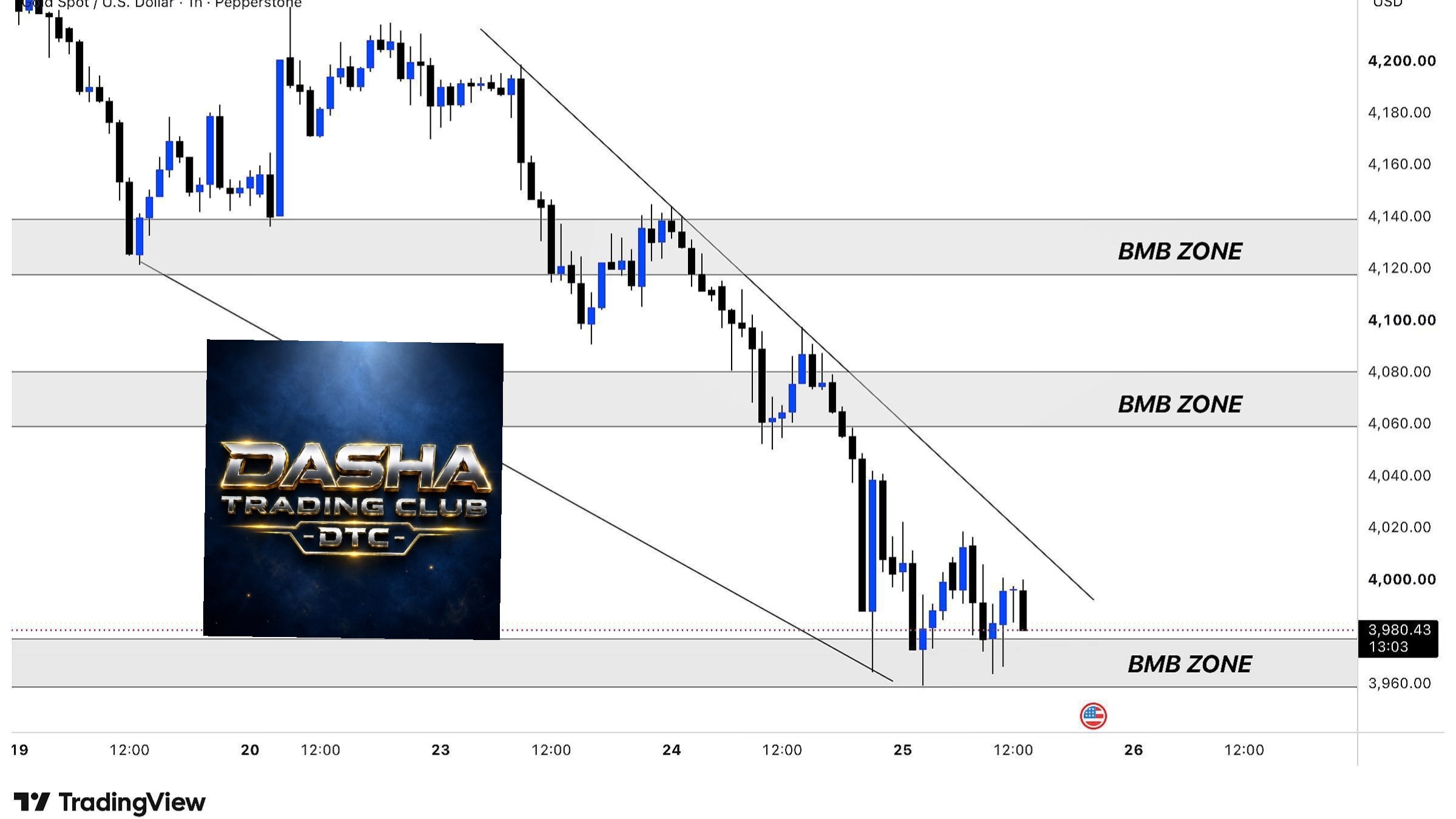 DASHA TRADING CLUB