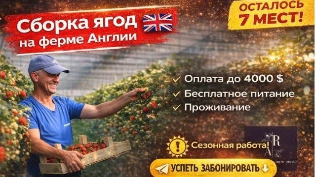 Рябцев Тимофей | Работа в Англии