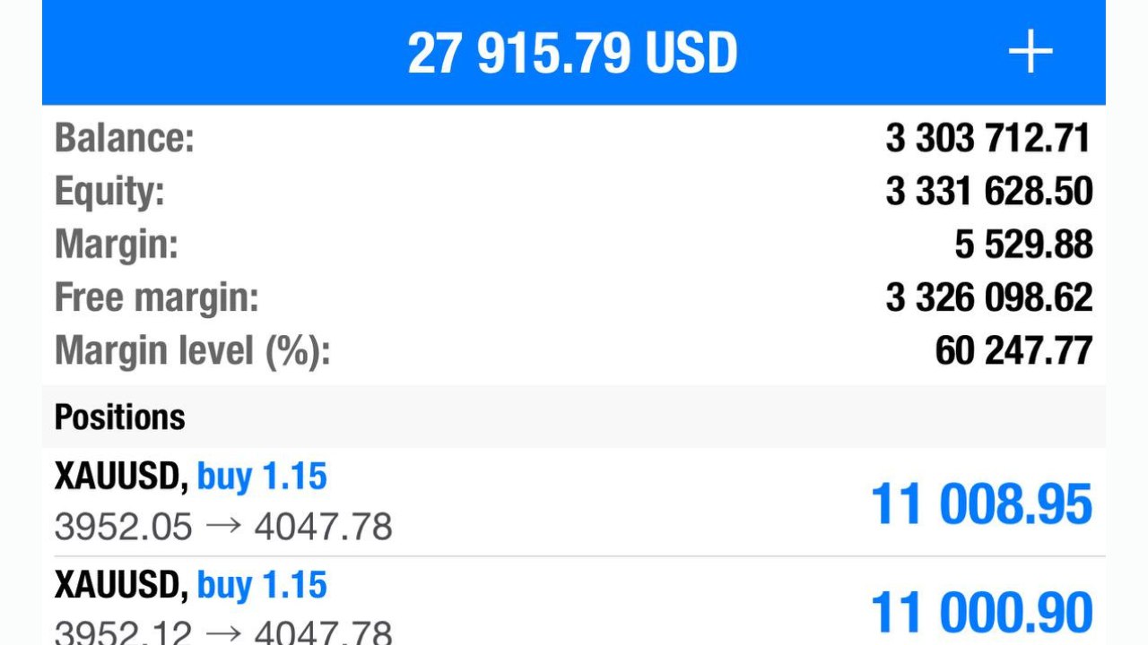 TDN Trading