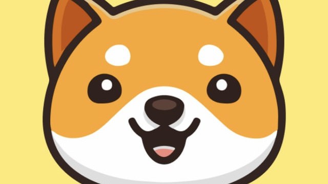 Baby Doge News